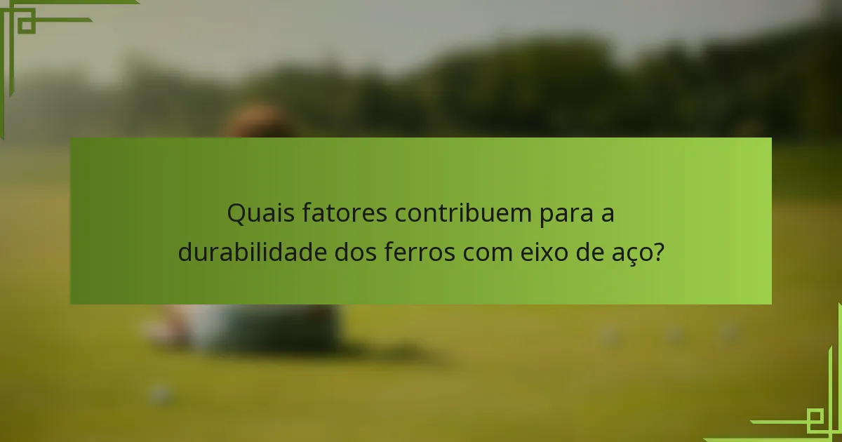 Quais fatores contribuem para a durabilidade dos ferros com eixo de aço?