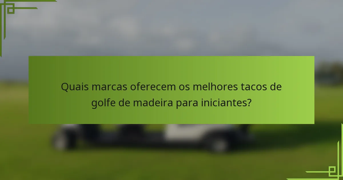 Quais marcas oferecem os melhores tacos de golfe de madeira para iniciantes?
